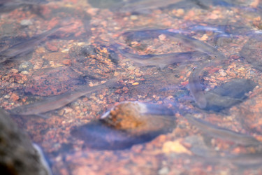 Similar image 2992891