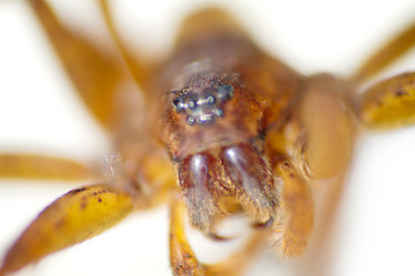 Similar image 2992900