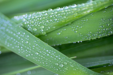 Similar image 2992901