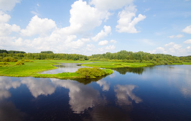 Similar image 2992909