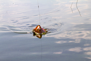 Similar image 2992921