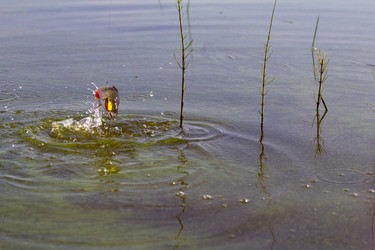 Similar image 2992926