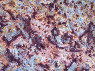 Similar image 2992939