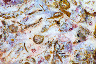 Similar image 2992941