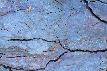 Similar image 2992945