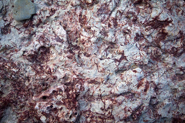 Similar image 2992954