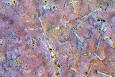 Similar image 2992957