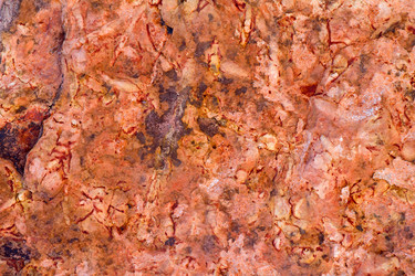 Similar image 2992958