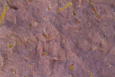 Similar image 2992966