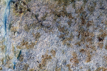 Similar image 2992968