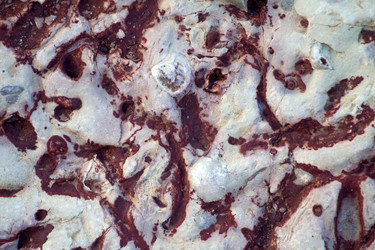 Similar image 2992969