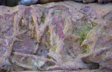 Similar image 2992970