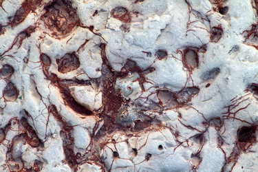 Similar image 2992974