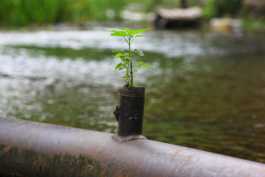 Similar image 2993335