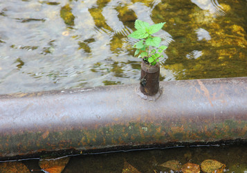 Similar image 2993336