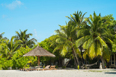 Similar image 2993539