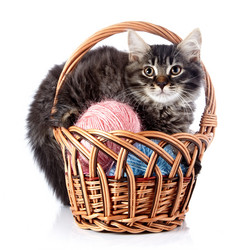 Similar image 2993592