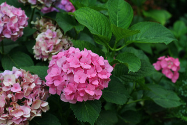 Similar image 2993610