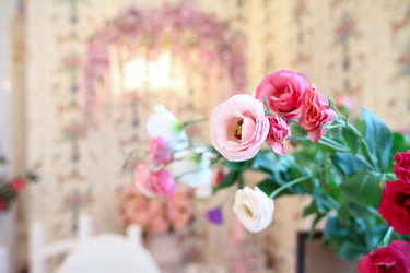 Similar image 2993612