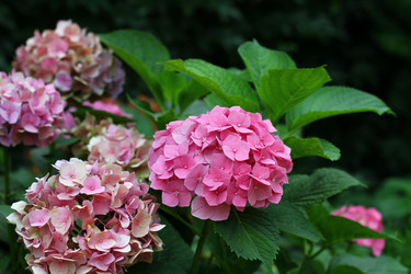 Similar image 2993629