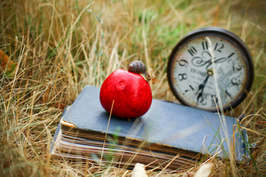 Similar image 2993641