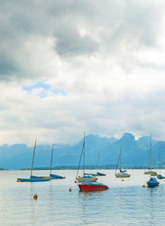 Similar image 2993702