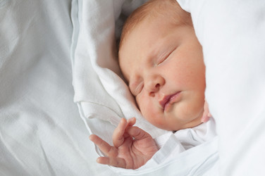 Similar image 2993705