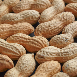 Similar image 2993951