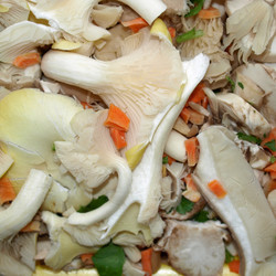 Similar image 2993955