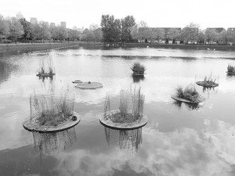 Similar image 2993961