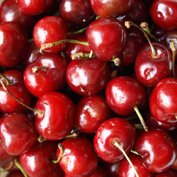 Similar image 2994006