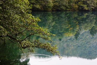 Similar image 2994276