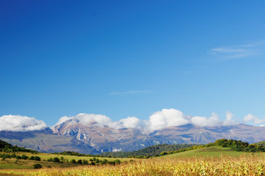 Similar image 2994277