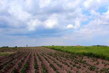 Similar image 2994292