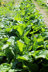 Similar image 2994293