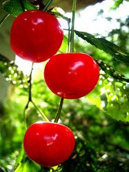 Similar image 2994294