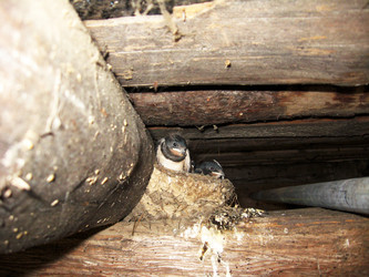 Similar image 2994296