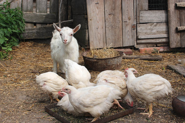 Similar image 2994299