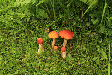 Similar image 2994433