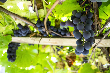 Similar image 2994452