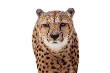 Similar image 2994499