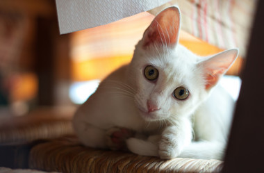 Similar image 2994501