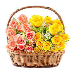 Similar image 2994521