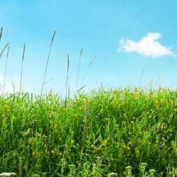 Similar image 2994523