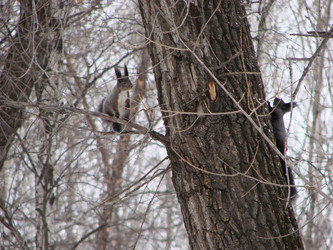 Similar image 2994526