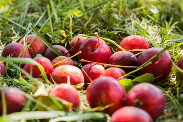 Similar image 2994535