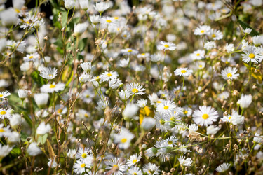 Similar image 2994536