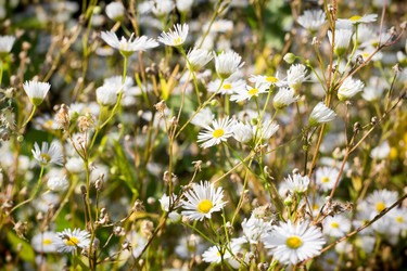 Similar image 2994537