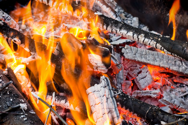 Similar image 2994538