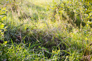 Similar image 2994539